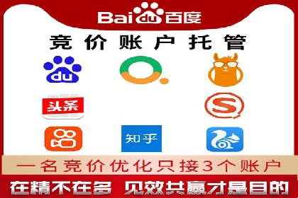 sem代运营机构经典案例：提升广告投放效果