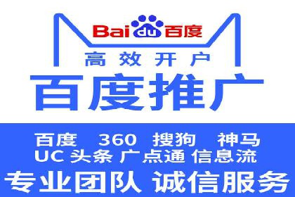 解析某某SEM服务公司的广告投放策略与效果评估